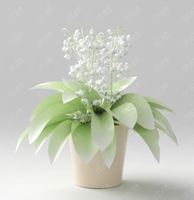 白色鲜花装饰盆栽模型