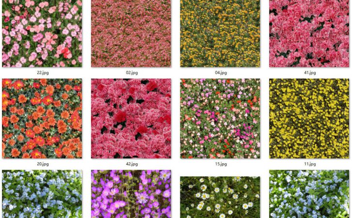 70张高清花植物花丛鲜花图片贴图素材
