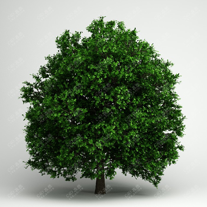 绿树植物大树模型