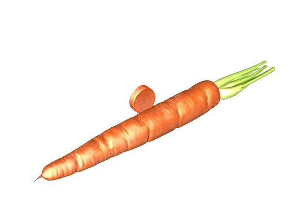 胡萝卜蔬菜模型