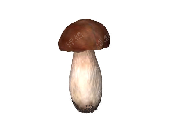 蘑菇蔬菜模型