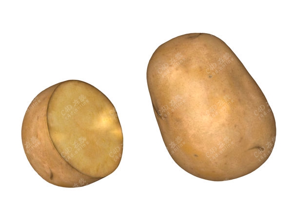 土豆蔬菜模型