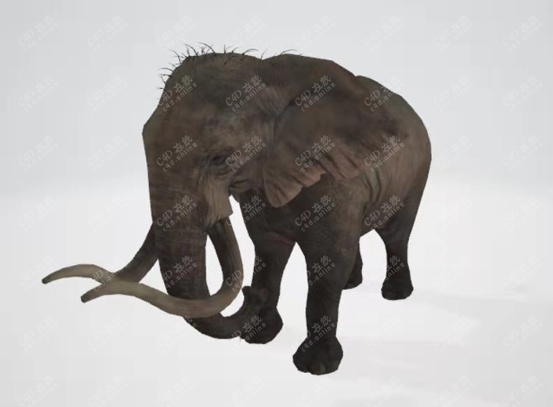 大象模型含绑定