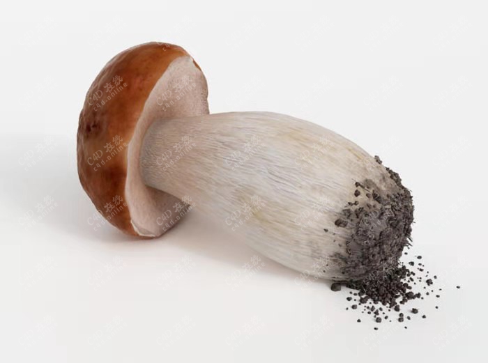 蔬菜蘑菇野生菌类模型