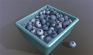 蓝莓水果模型