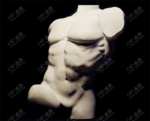 石膏雕塑模特肌肉