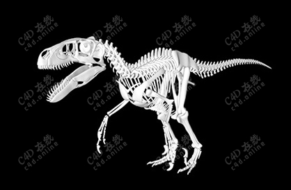 恐龙霸王龙骨骼骨架