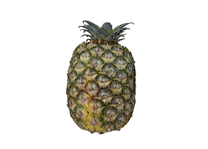 凤梨菠萝热带水果