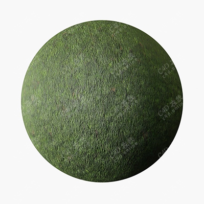 绿色草坪草地纹理贴图