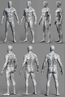 男性肌肉模特人体线条