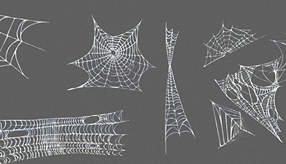 蜘蛛网蛛网